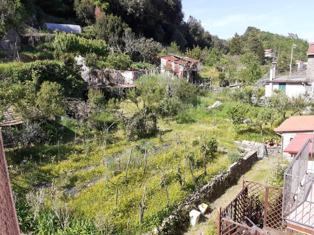 La Casa Torre Hotel Pignone Eksteriør billede