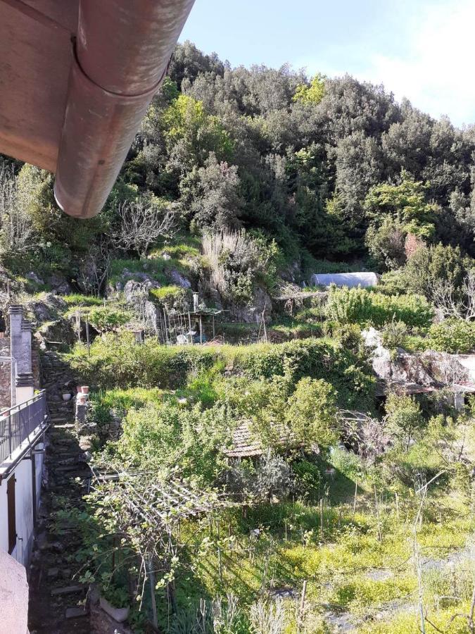 La Casa Torre Hotel Pignone Eksteriør billede